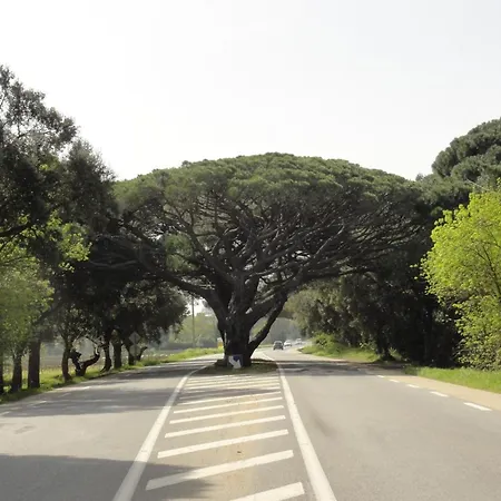 Horská chata In Provence Near The Beaches Of Pampelonne Grimaud