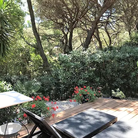 In Provence Near The Beaches Of Pampelonne Horská chata